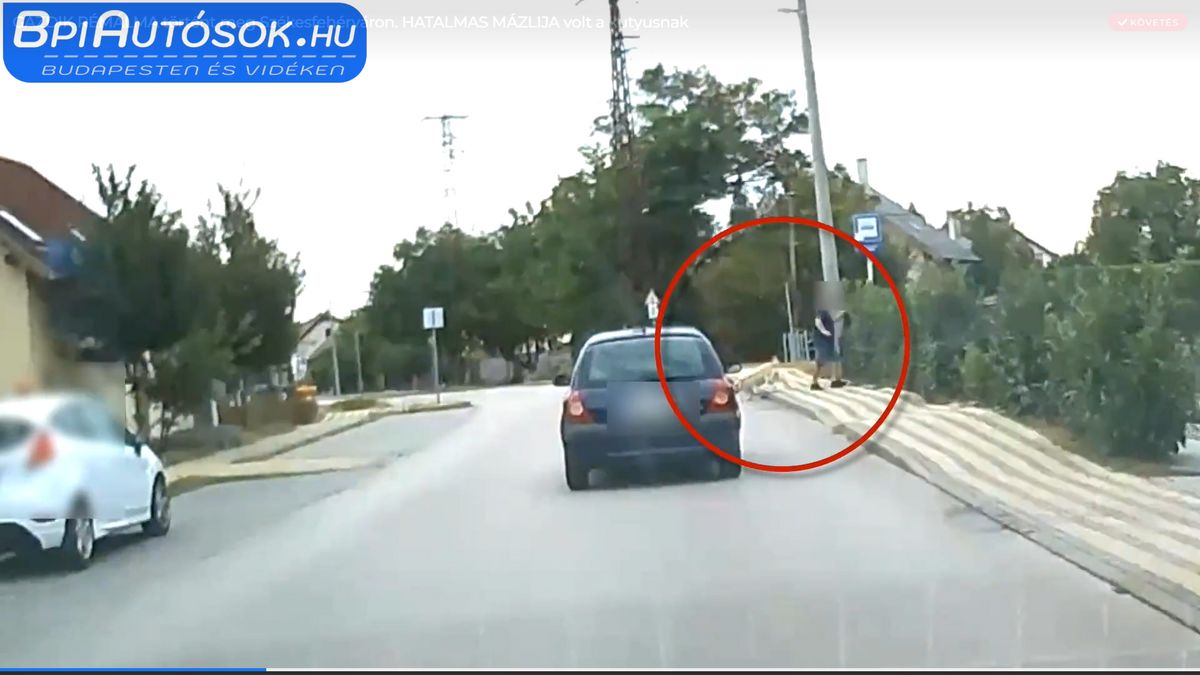 Rémálomszerű jelenetsor: csak a szerencsén múlott a négylábú élete (VIDEÓ)