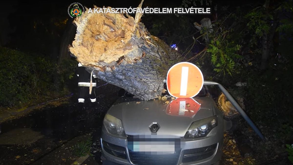 Parkoló autót zúzott totálkárosra egy többtonnás fa a budapesti viharban (VIDEÓ)
