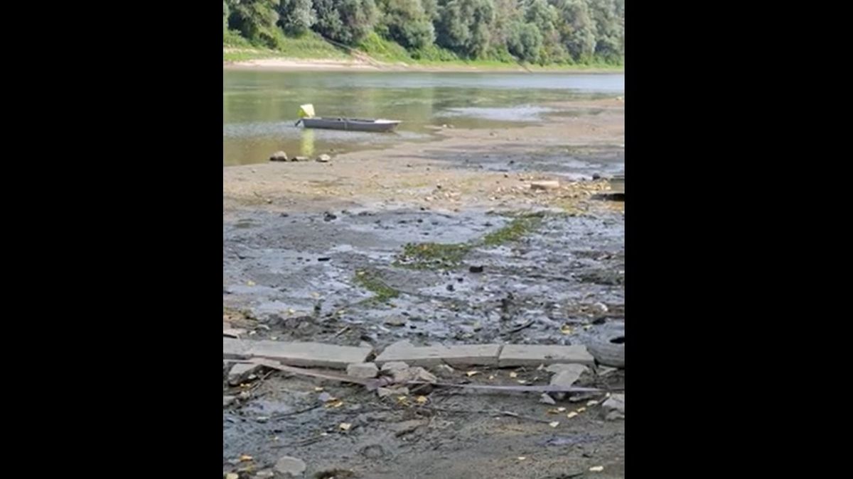 Brutális: az óriási aszály miatt gyalog is átjárható a Tisza (videó)