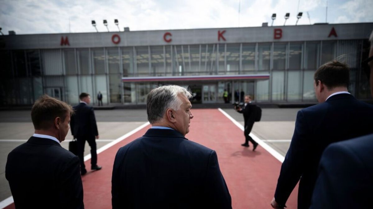 Orbán Viktornak ismét igaza lett
