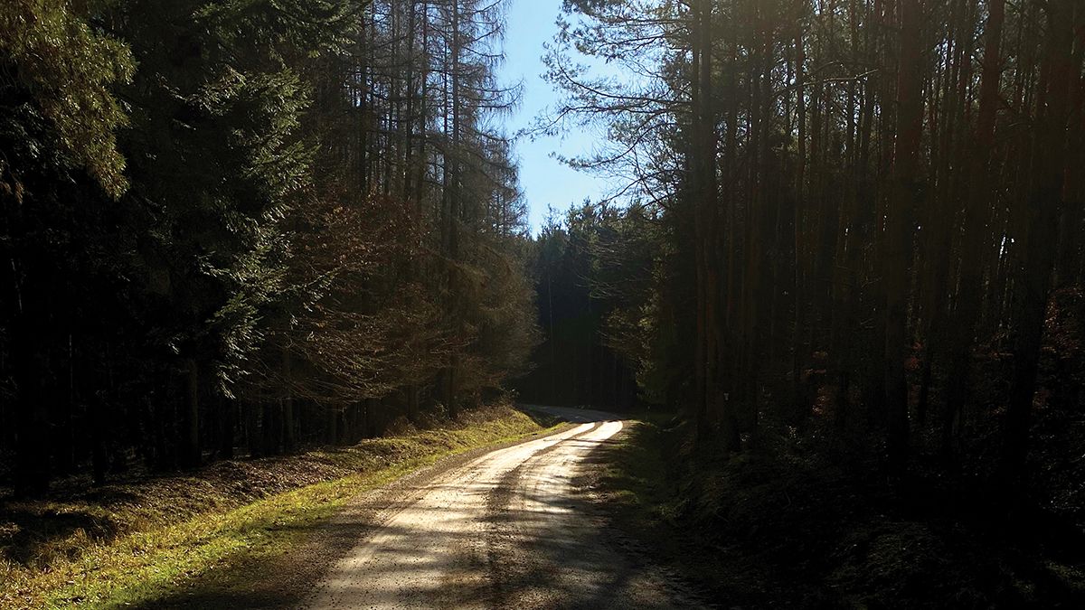 Zalai hullámvasút Rockenbauer nyomában