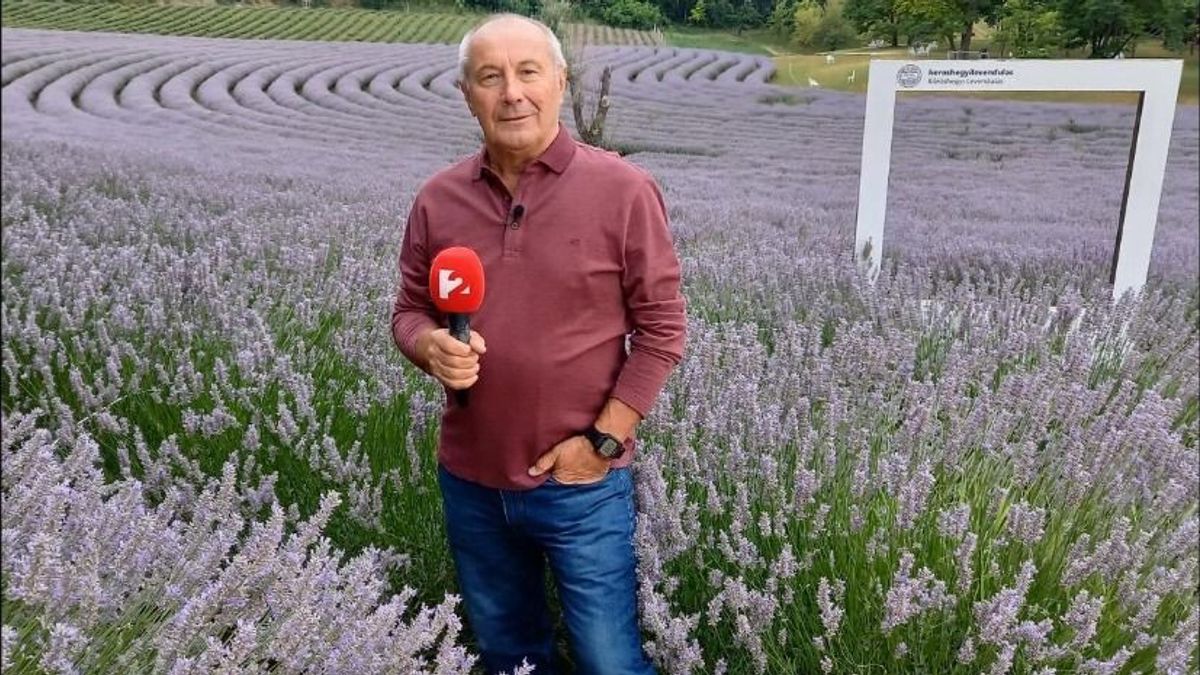 Mennyire normális, hogy kánikulával indítjuk a szeptembert? – megkérdeztük Németh Lajost
