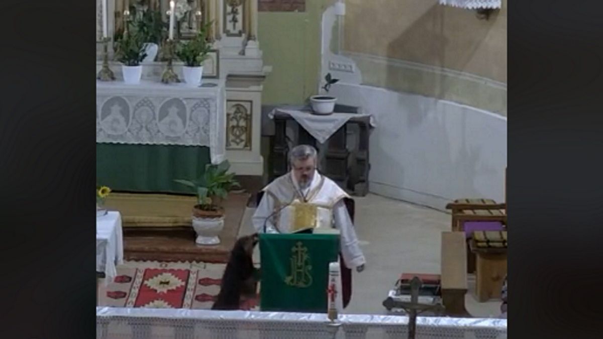 Videón, ahogy egy kutya zavarja meg a szentmisét Gyomaendrődön
