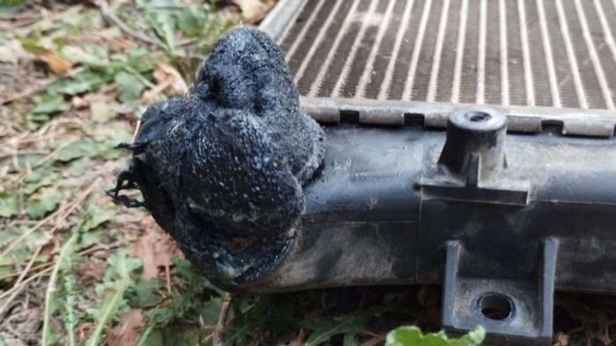 Elbújhat MacGyver az egyik magyar autós mögött – mutatjuk, miért