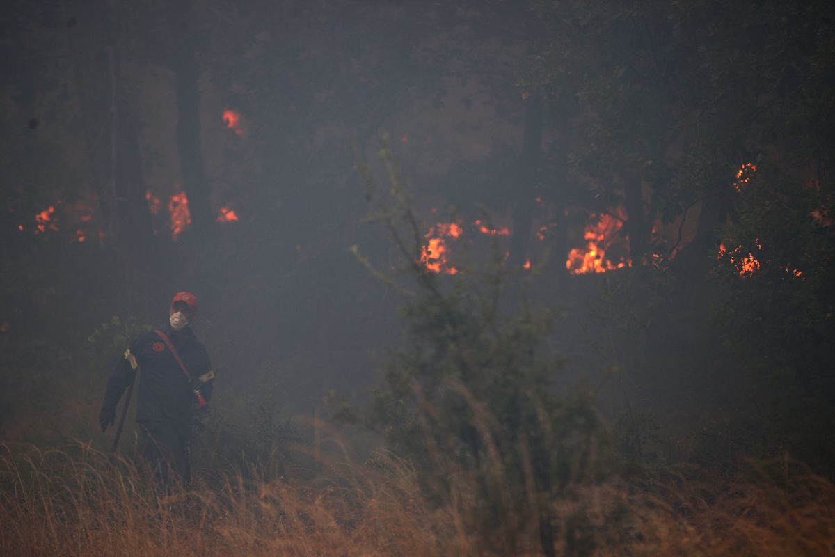 Wildfires continue to ravage Greece on the fourteenth day