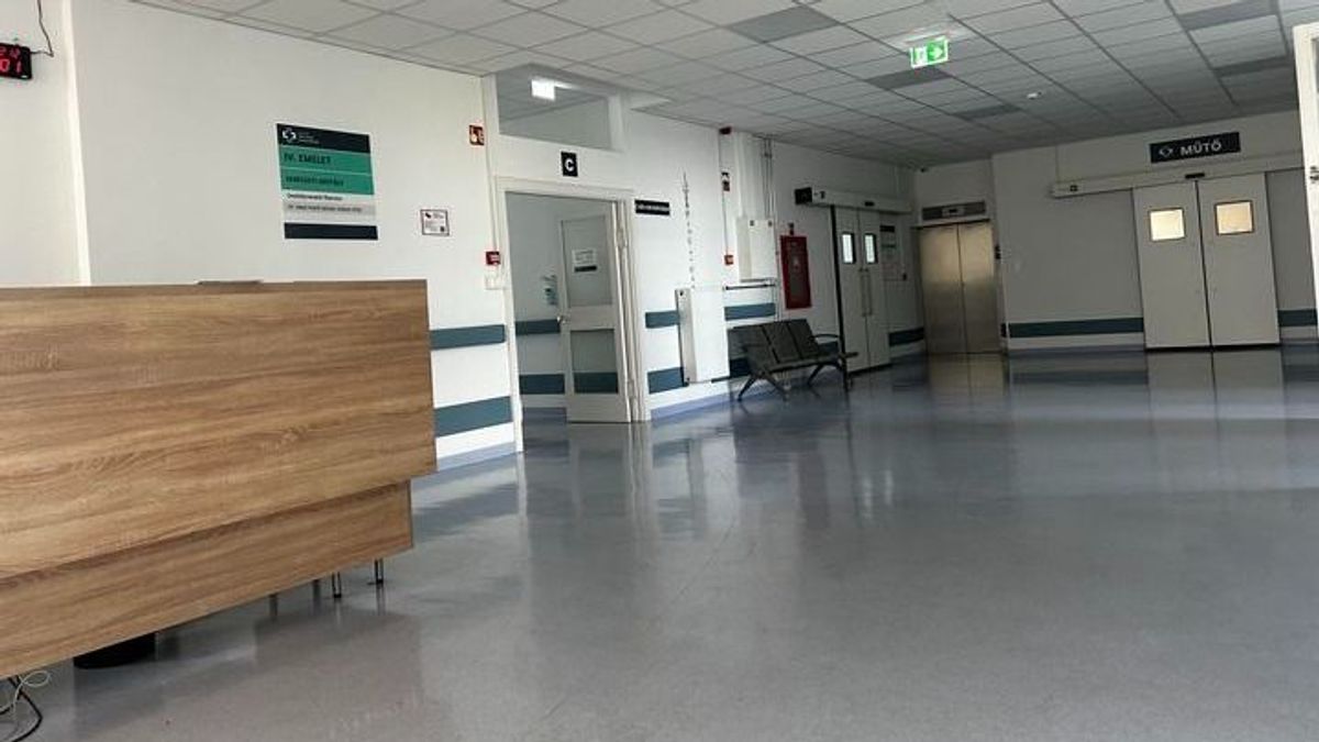Szinte kizárólag rémtörténeteket olvasni az állami ellátásról