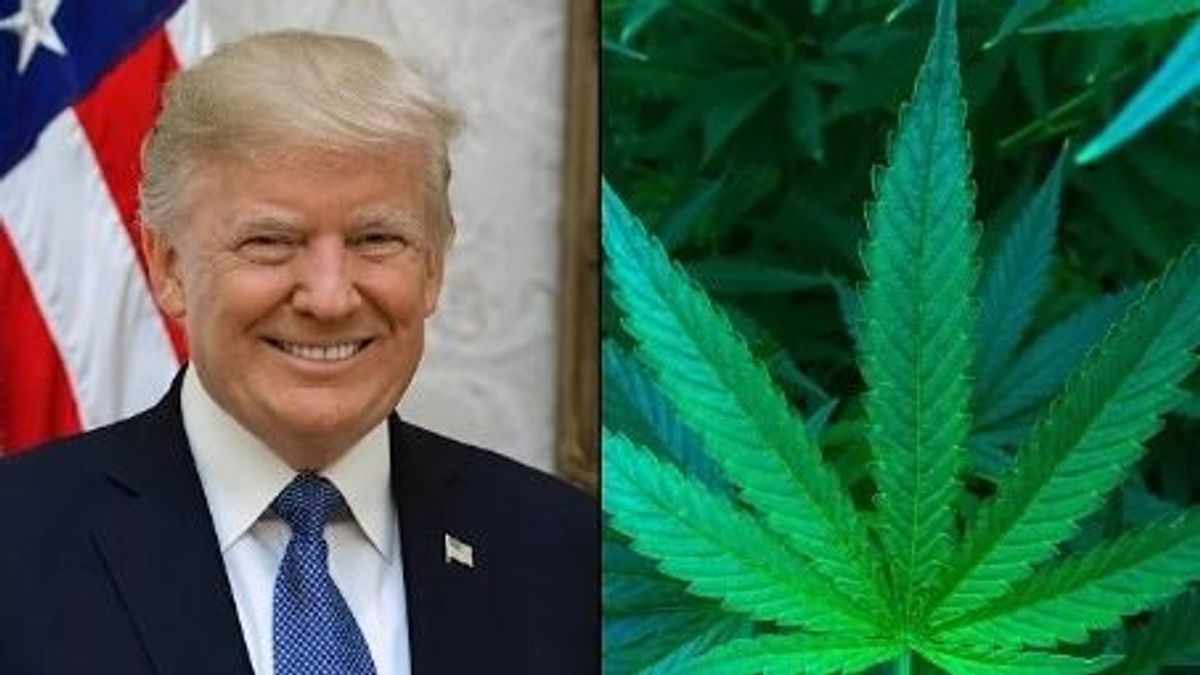 Trump megint sokaknál kiverte a biztosítékot – legalizálná a marihuánát