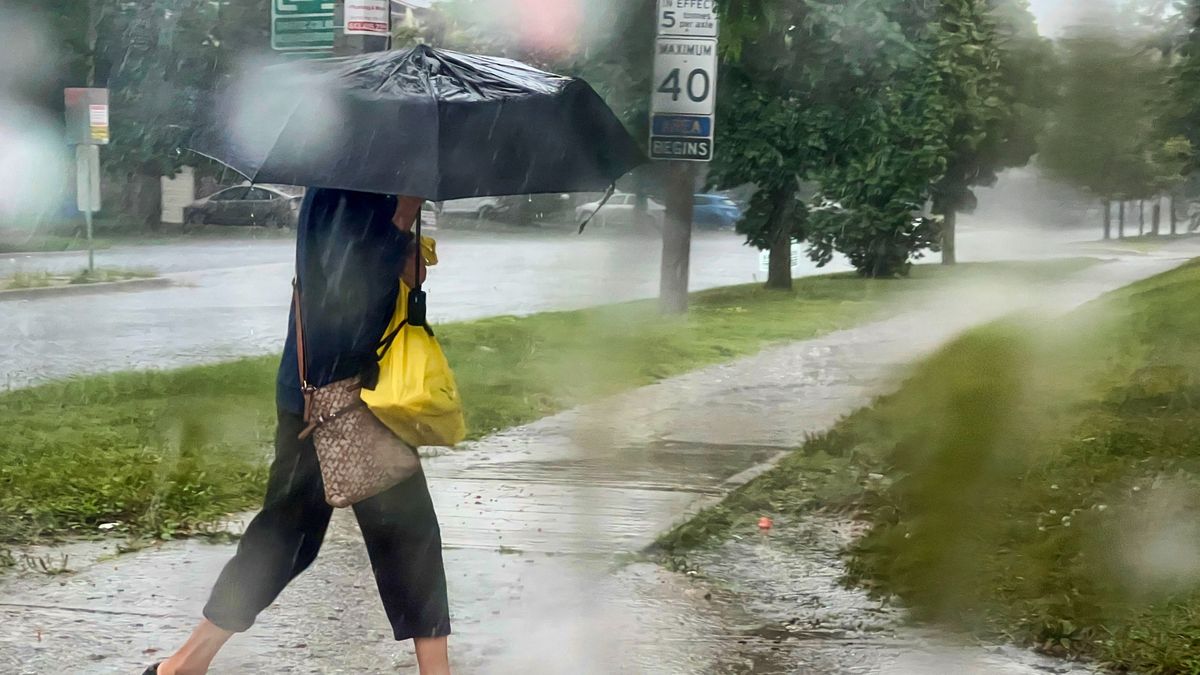 Megjött az ősz, megjött az özönvíz, áradni fog a Duna