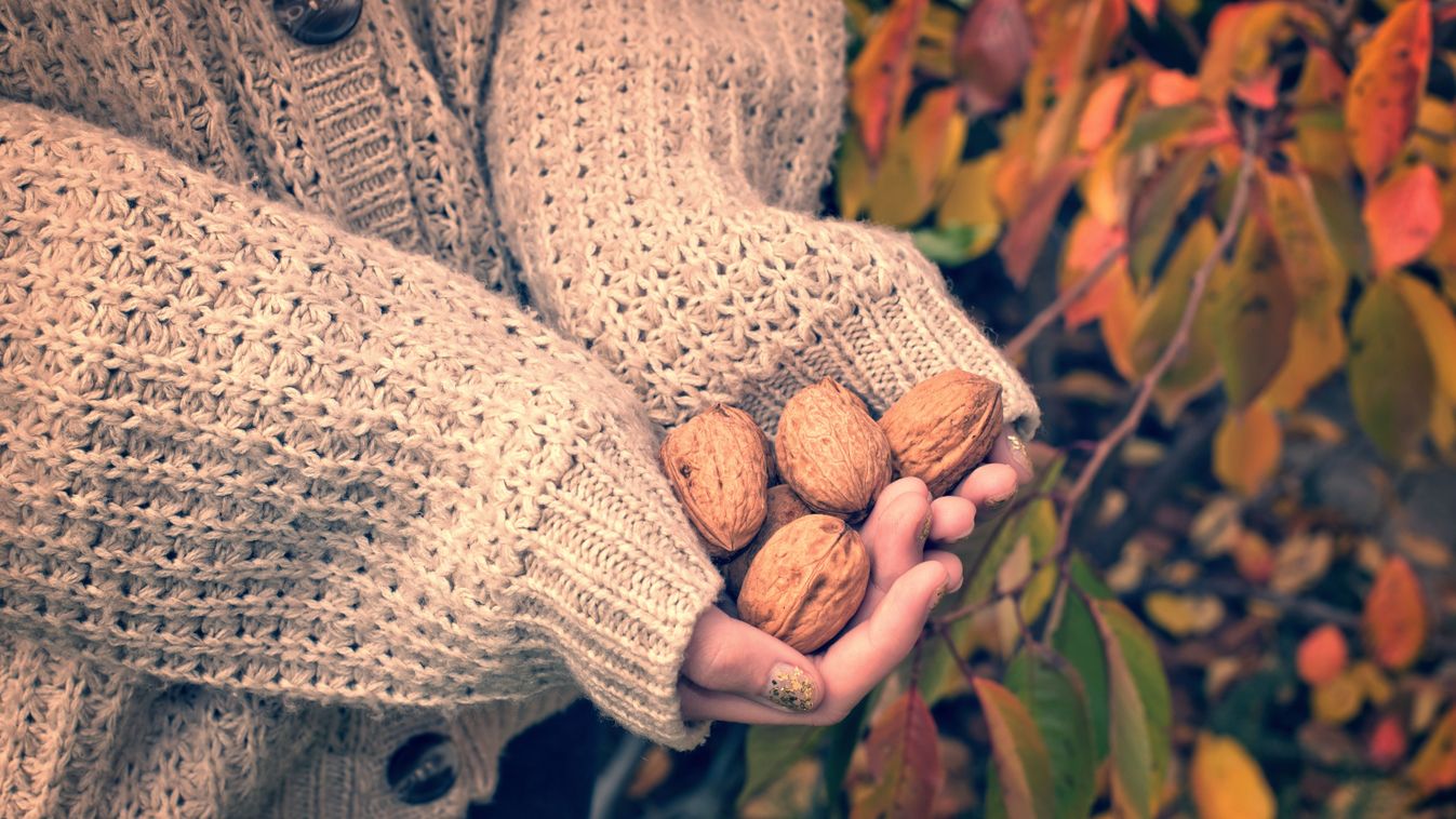 Girl,With,Woolen,Sweater,Holding,Wallnuts,In,Her,Hands,,Vintage