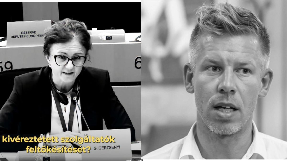 Aférfiúr pártjának EP-képviselője világosan elmondta, hogy ők nem akarnak rezsicsökkentést