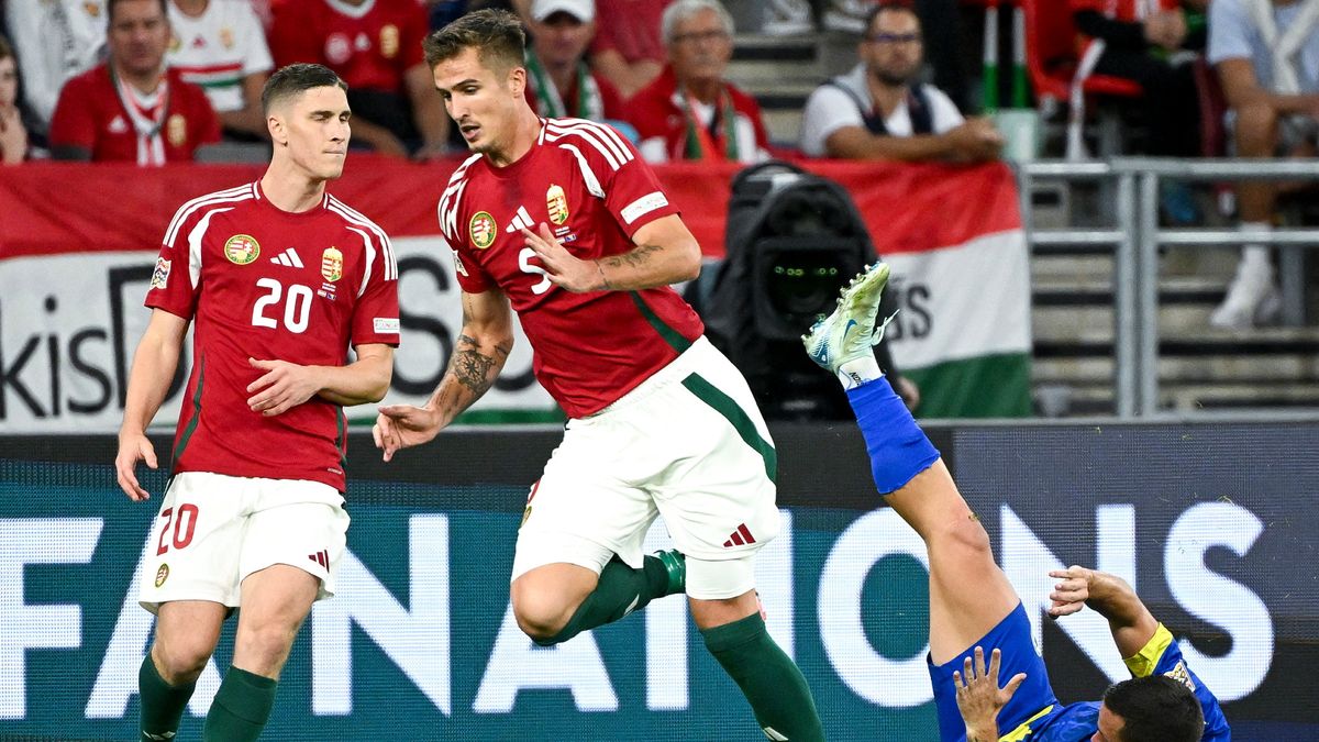 Valóra vált az álma, de ki az a Nikitscher Tamás?