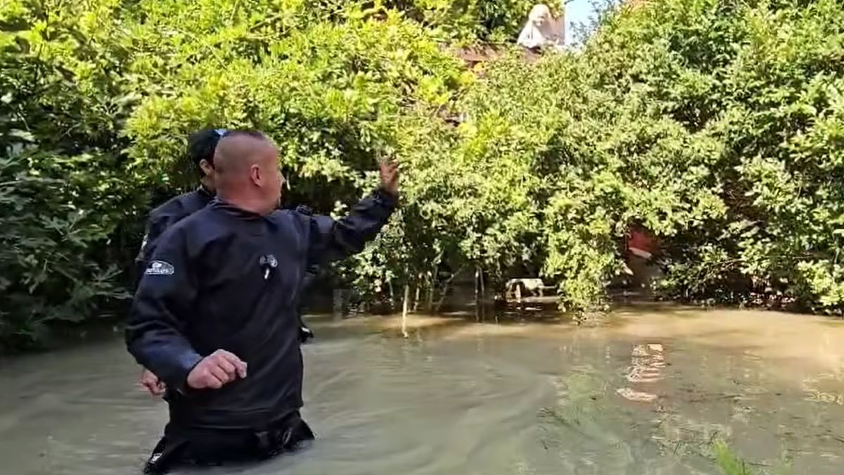 Ingatlana felső emeletén ragadt egy szentendrei néni az árvíz miatt, hamar megérkezett a segítség (VIDEÓ)