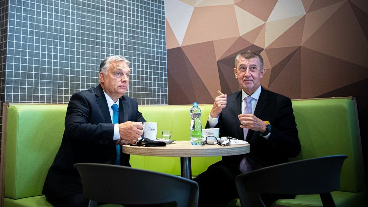 Orbán Viktor szövetségese nyerte meg a részleges szenátusi választást Csehországban