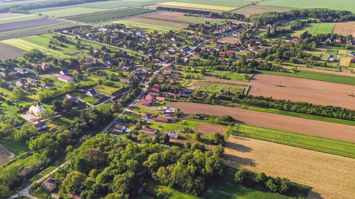 Itt vannak az időközi választások eredményei
