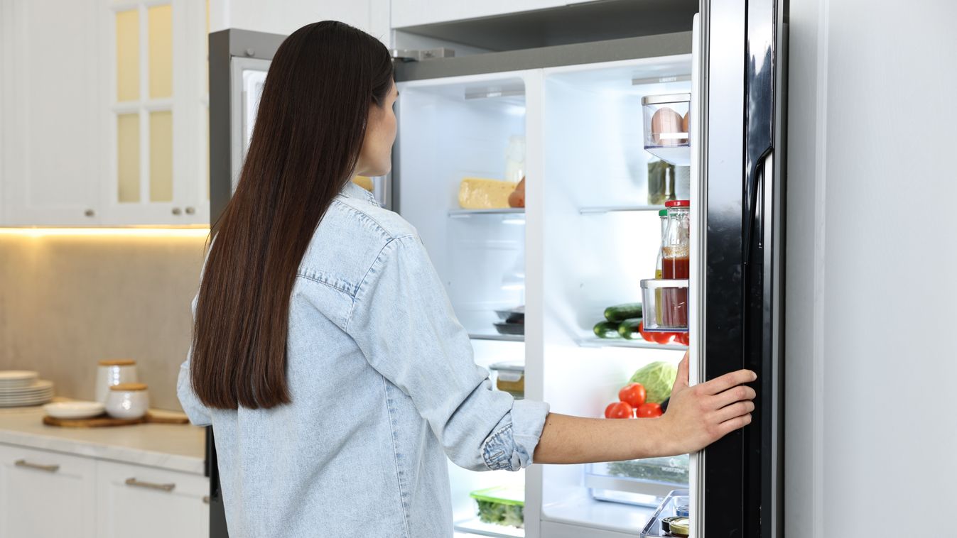 Young,Woman,Near,Modern,Refrigerator,In,Kitchen