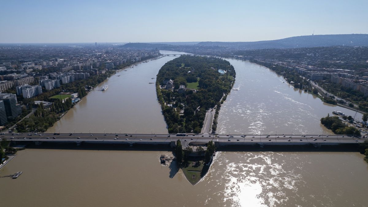 Halpusztulás és szúnyoginvázió is lehet az árvíz következménye