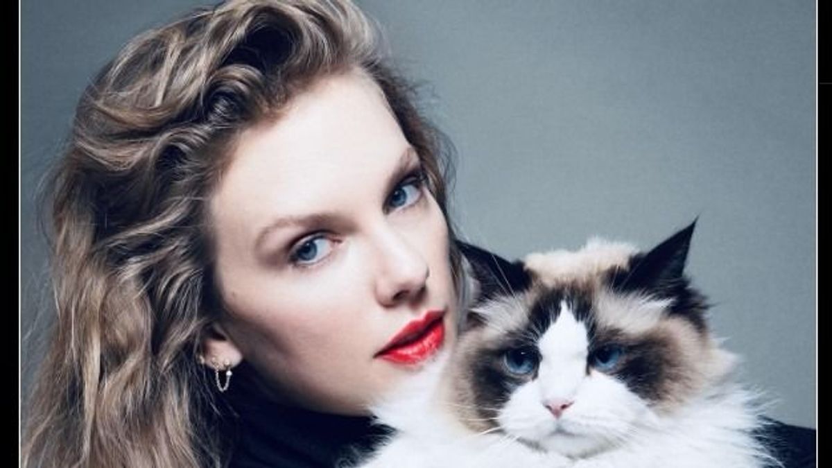 A macskájával pózoló Taylor Swift bejelentette: Kamala Harrist támogatja