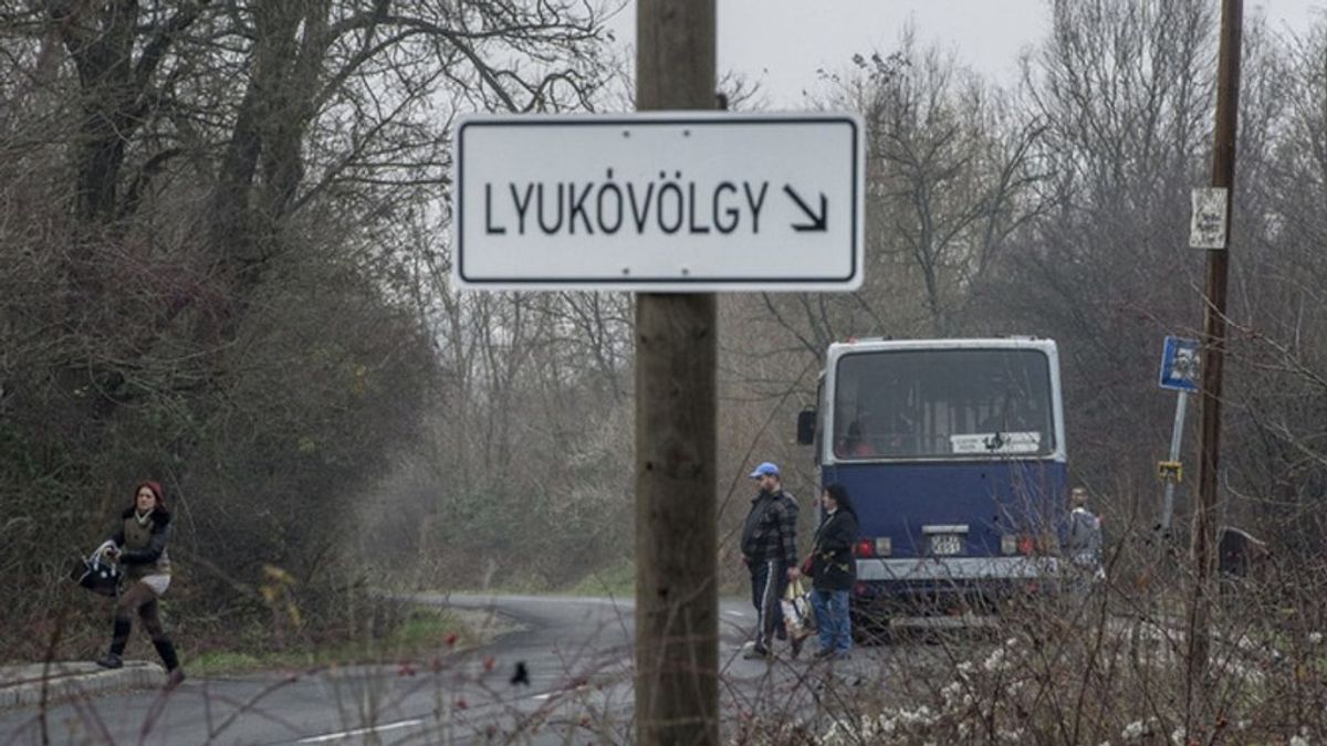 Vérfagyasztó: emberi csontokat vitt haza egy kutya Miskolcon