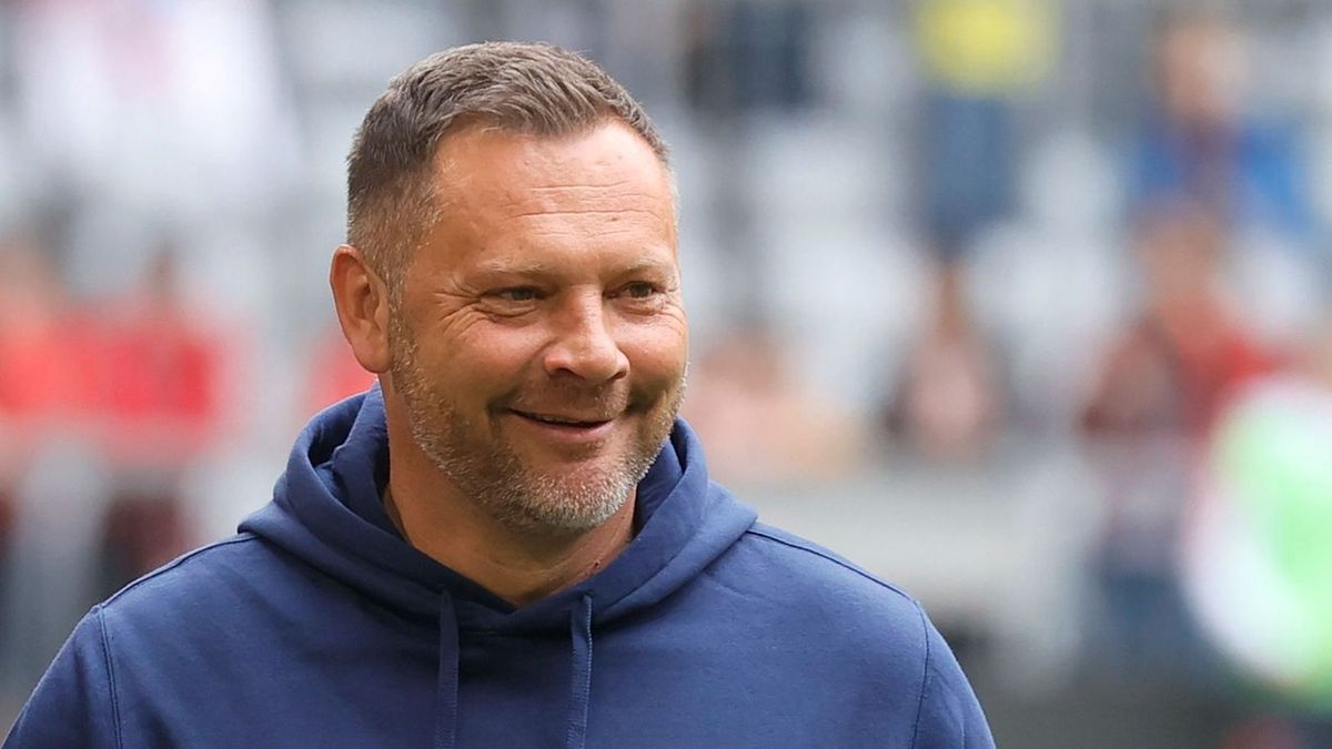 A berliniek szerint a Hertha edzője most Dárdai Pál munkájának gyümölcseit aratja le