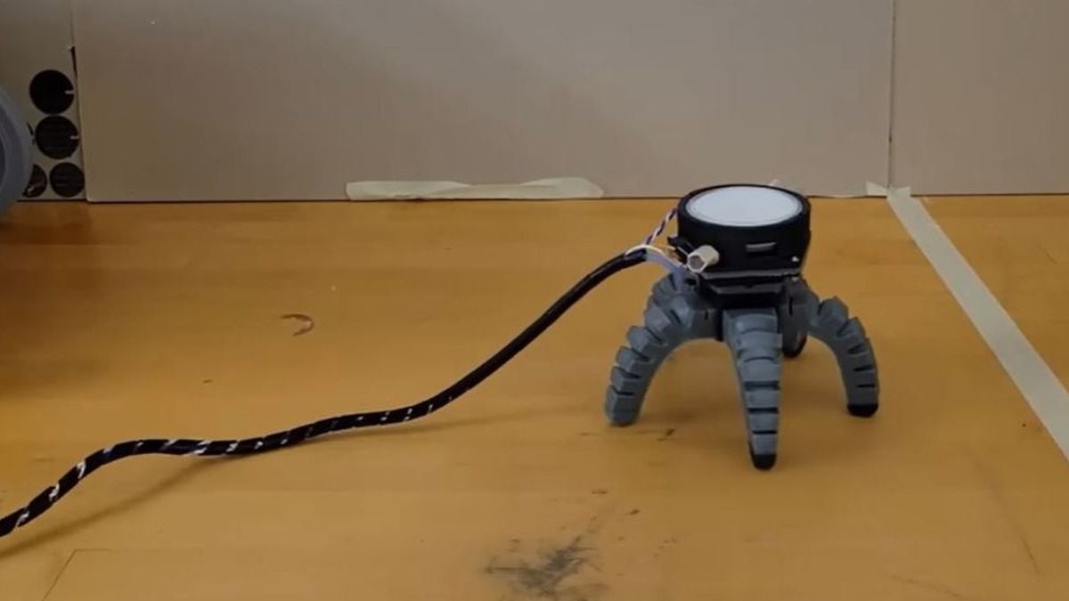 Forradalom jöhet a földművelésben? Egy gomba képes volt egy robotot irányítani! (VIDEÓ)