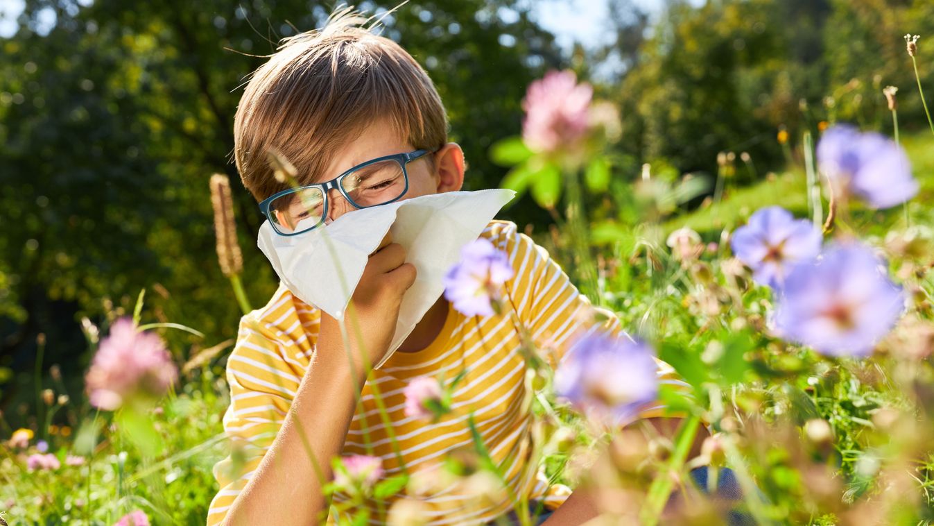 Boy,With,Hay,Fever,Sits,In,A,Blooming,Meadow,While