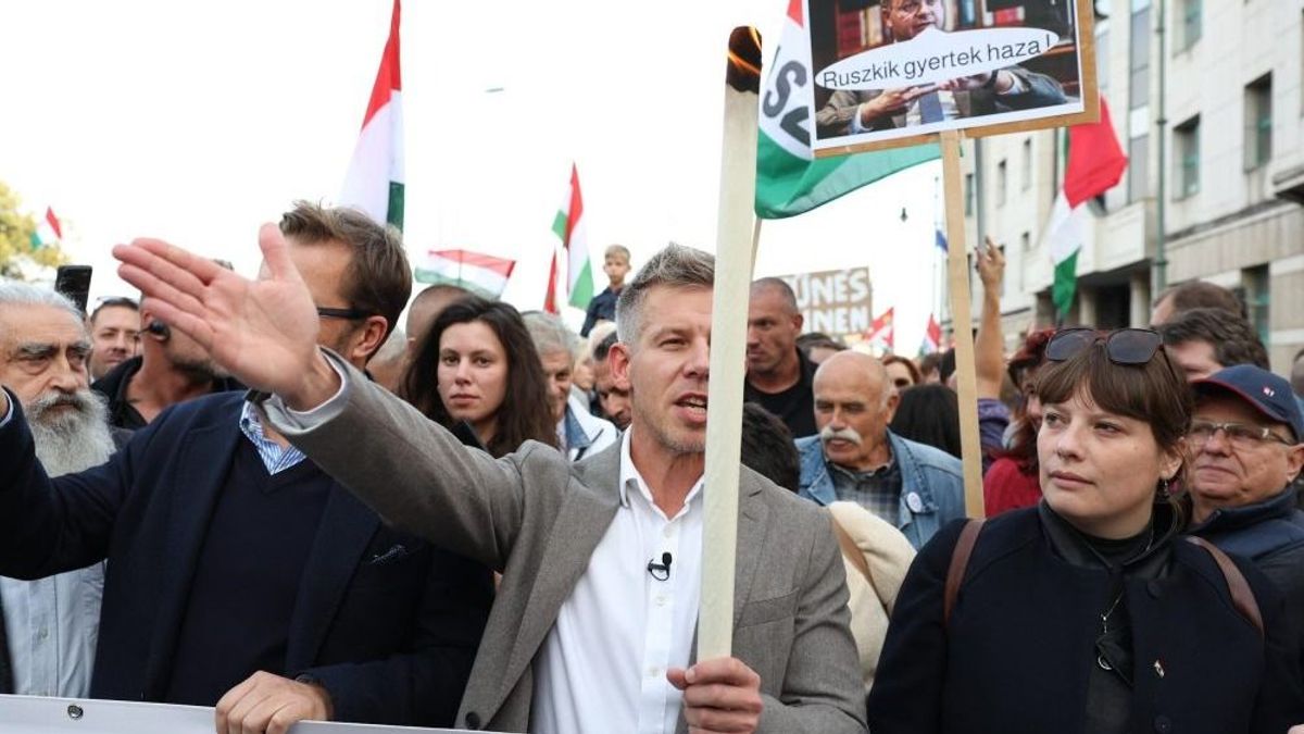 Pancserpuccs készült?