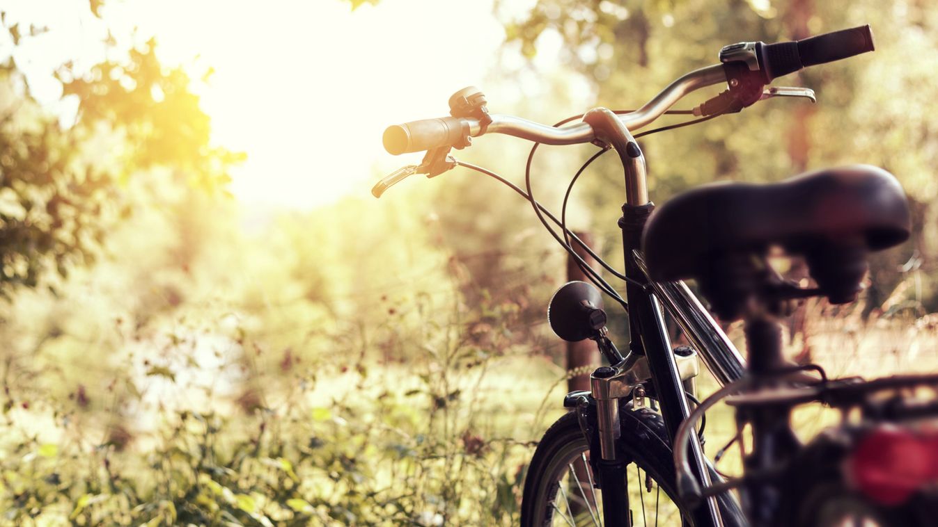 Evening,Sunshine,At,Wooden,Landscape,And,A,Standing,Bicycle,Next