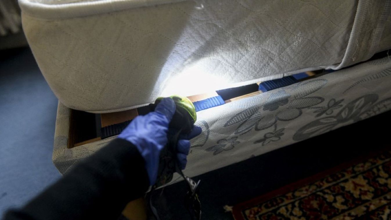 With a lamp, a man is searching into the fabric of mattresses to eliminate bedbugs, steamer, Photograph by Magali Cohen / Hans Lucas.