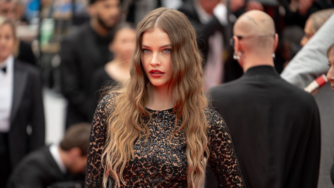 &#039;&#039;The Apprentice&#039;&#039; Red Carpet - The 77th Annual Cannes Film Festival