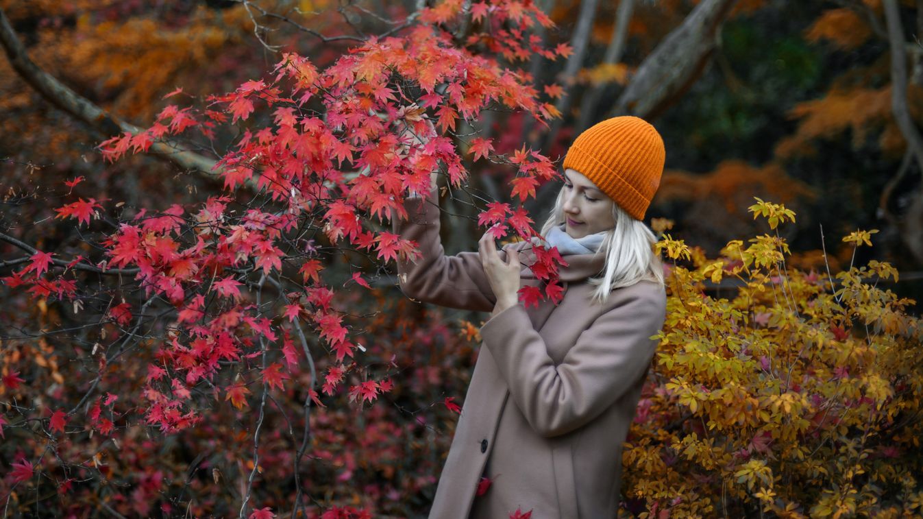 A,Beautiful,Woman,In,Autumn,In,The,Park