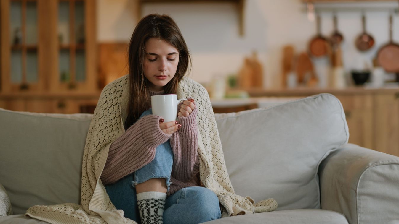 Young,Woman,Wearing,A,Knitted,Sweater,Sitting,At,Home,On