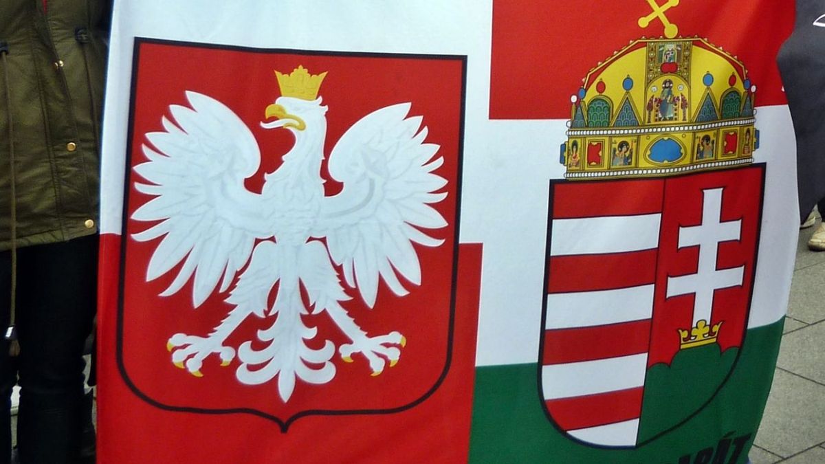 Az igazi lengyel-magyar barátság: hidegrázós videó terjed, hogyan védték meg Strasbourgban Magyarországot