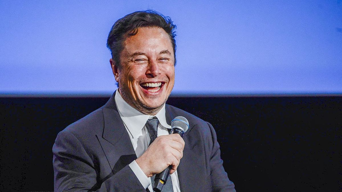 Rápillantott Elon Musk a történészre, aki ki akarja a magyarokat zárni az EU-ból és a képébe röhögött