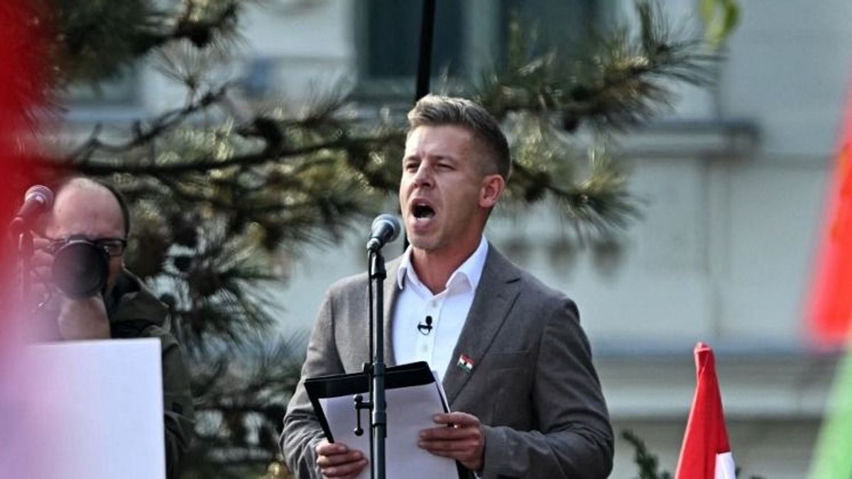 Kornis Mihály nagyot ment, imádja Magyar Pétert, és továbbra sem érti a demokráciát