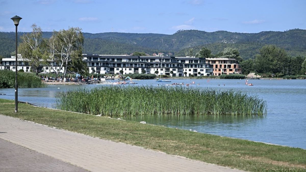 Valami nagyon nincs rendben a Balatonnál, közbe kellett lépni
