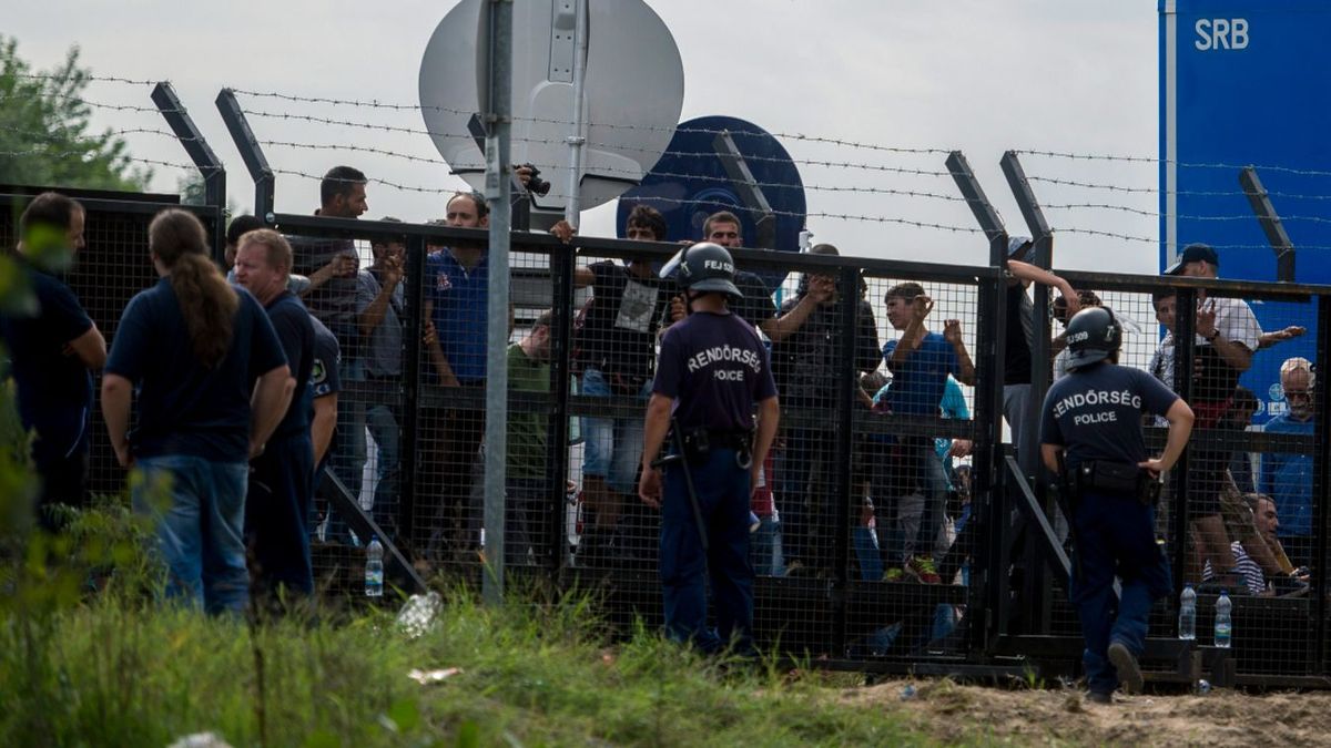 A brit politikatudósnak tetszik a migránsok Brüsszelbe buszoztatása Magyarország határairól