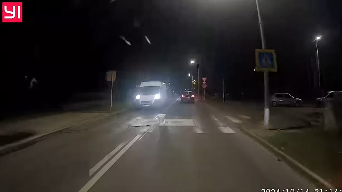 „Ez besz***ás” – elképesztő meglepetés érte a buszsofőrt a zebránál (Videó)