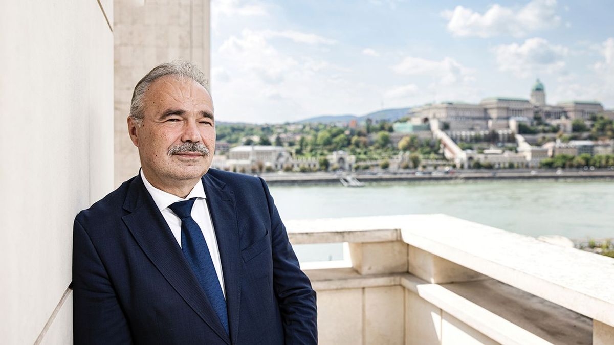 Nagy István: a vidék elárulása, hogy Magyar Péterék szerint el kell vonni a gabonatermeléstől az uniós támogatást