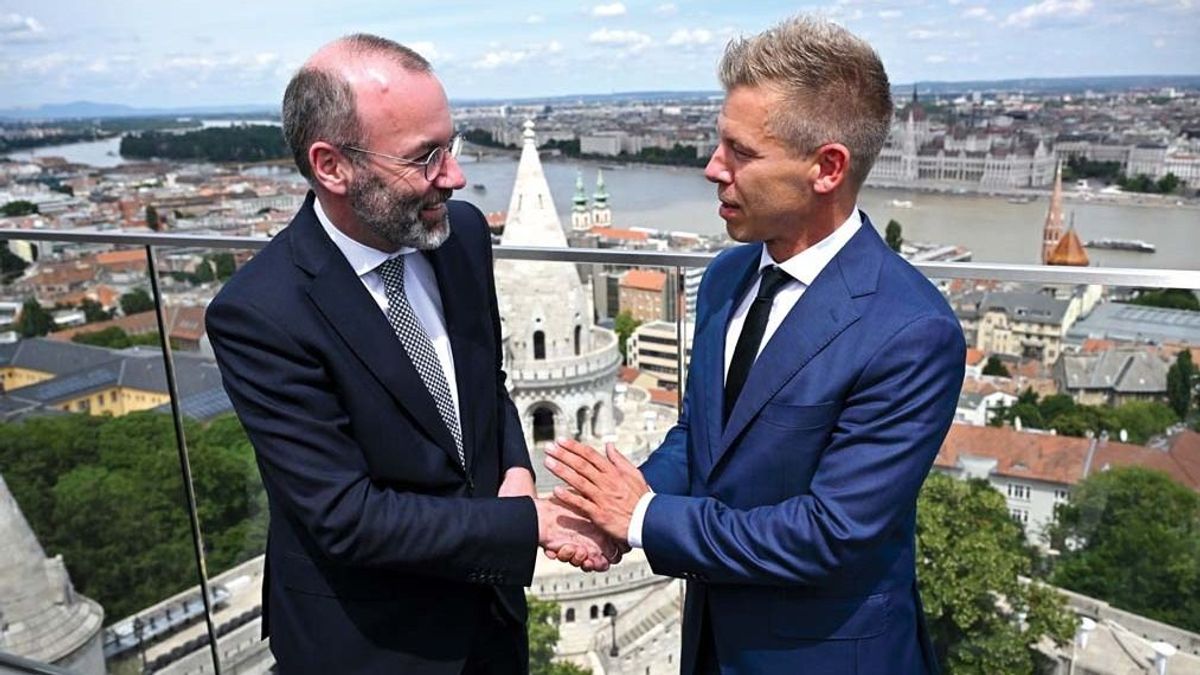 Manfred Weber megpróbálta védeni Magyar Pétert – a németek válaszul úgy kiosztották, hogy azt nem teszi zsebre