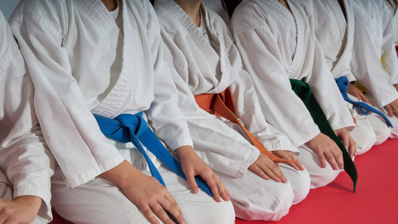 Karate,Kids,Martial,Arts,Training