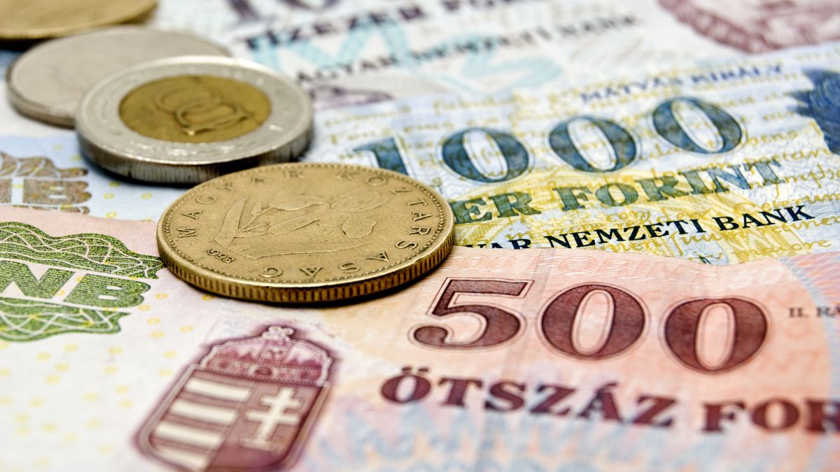 Tovább emelkedhet az áfamentesség értékhatára, törvénybe foglalják a különadókat