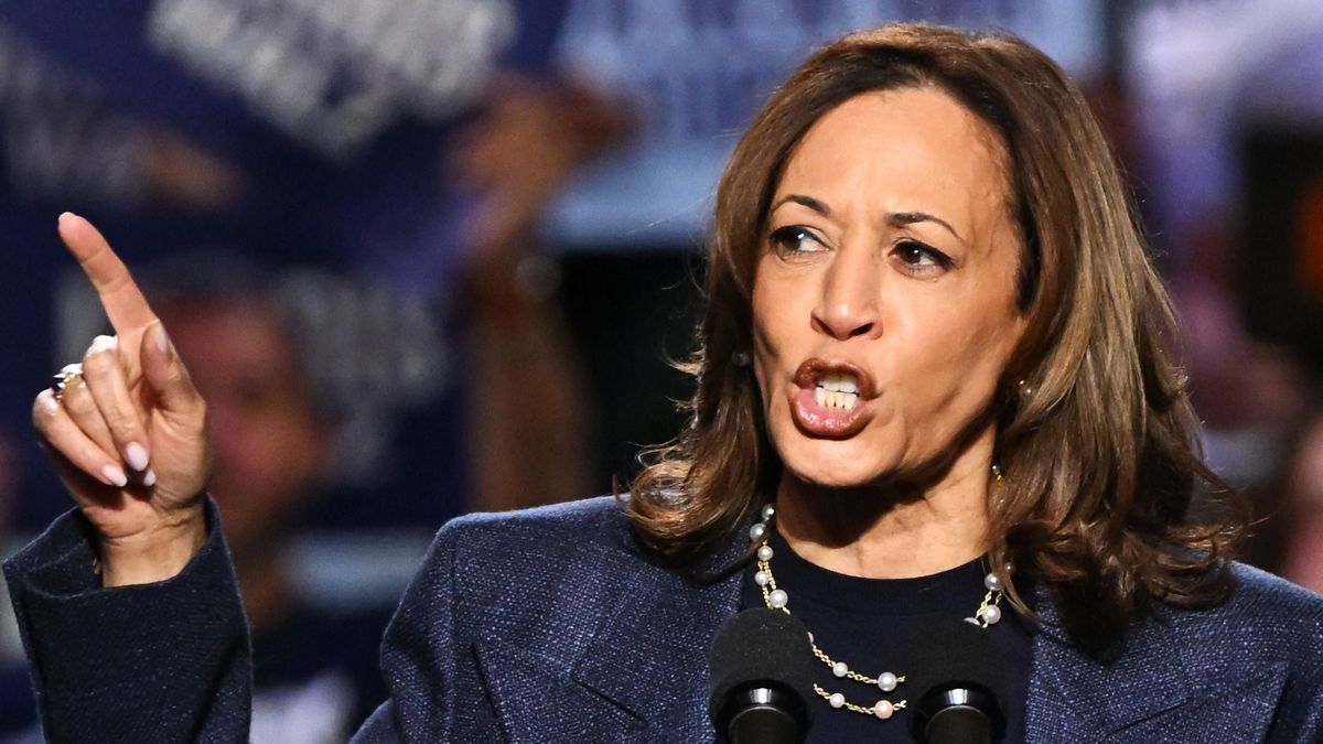 Amerikai elnökválasztás: Megdöbbentő videók kerültek fel a TikTokra Kamala Harrisről