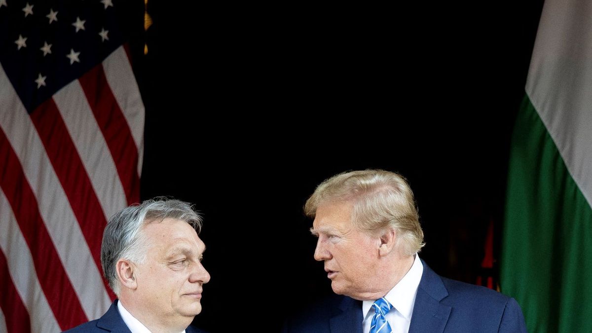 Orbán államférfi, Magyar botrányhős