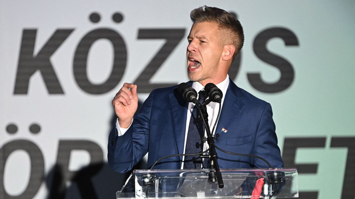 Magyar Péter díszes kompániához csatlakozott szavazói sértegetésével – videós összeállítás