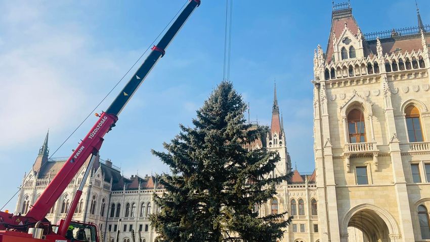 Megérkezett a Kossuth térre az ország karácsonyfája