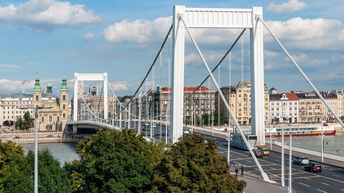 Internetes zaklatás miatt akart leugrani az Erzsébet-hídról egy férfi, a kutyáját is magával vitte a partra