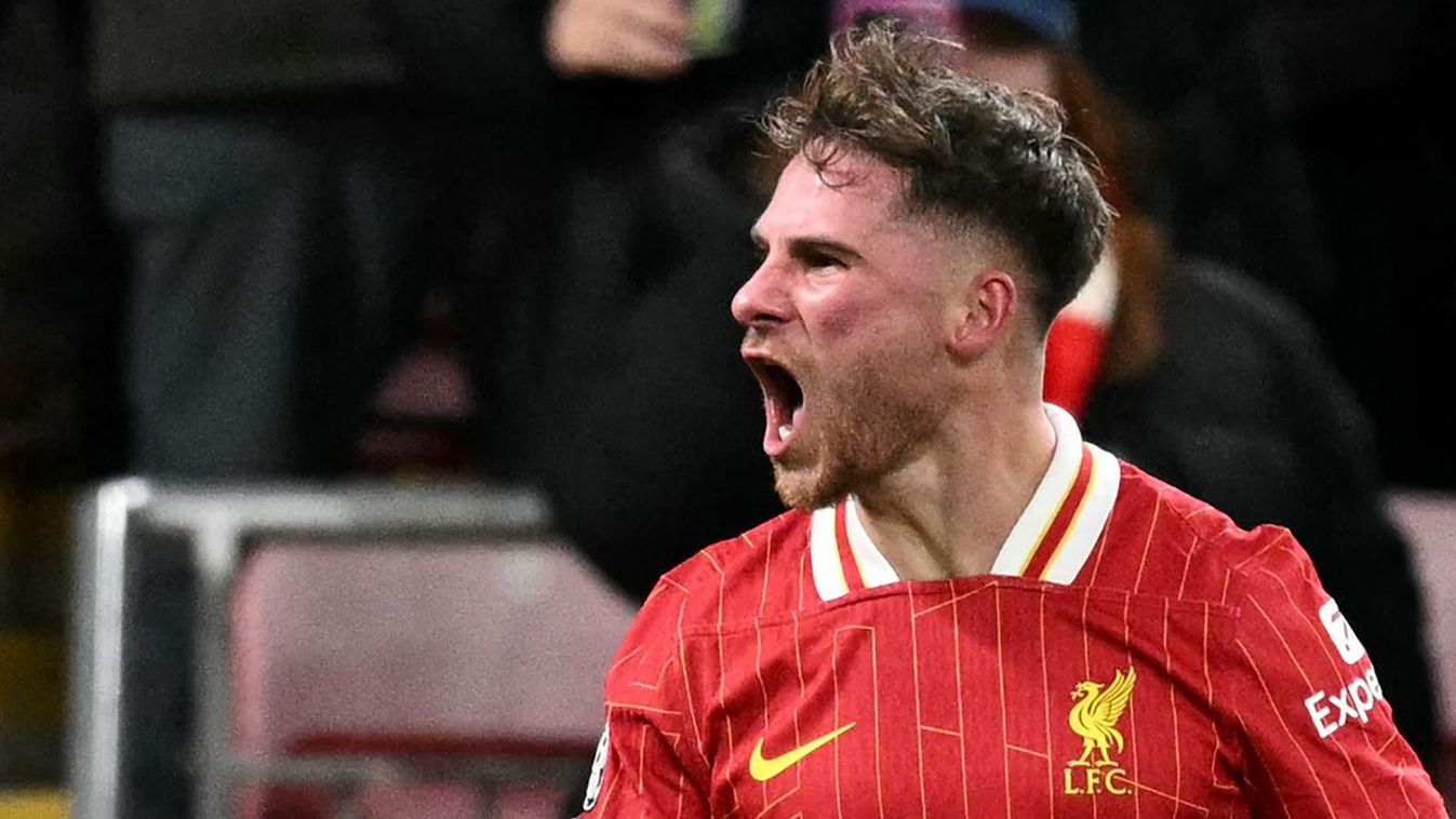 Liverpool's Argentinian midfielder #10 Alexis Mac Allister celebrates scoring the team's first goal during the UEFA Champions League football match between Liverpool and Real Madrid at Anfield in Liverpool, north west England on November 27, 2024. 