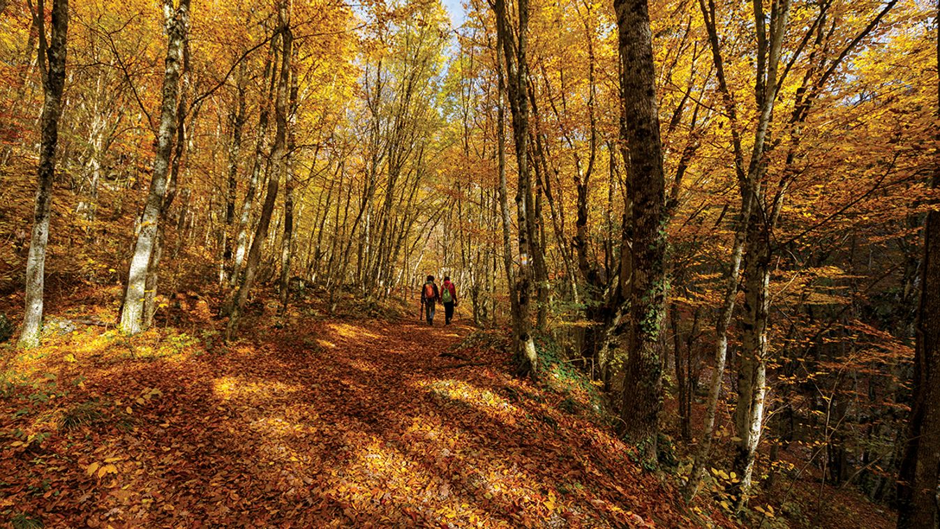 The,Journey,Of,The,Crimea,In,The,Autumn.,Leaf,Fall