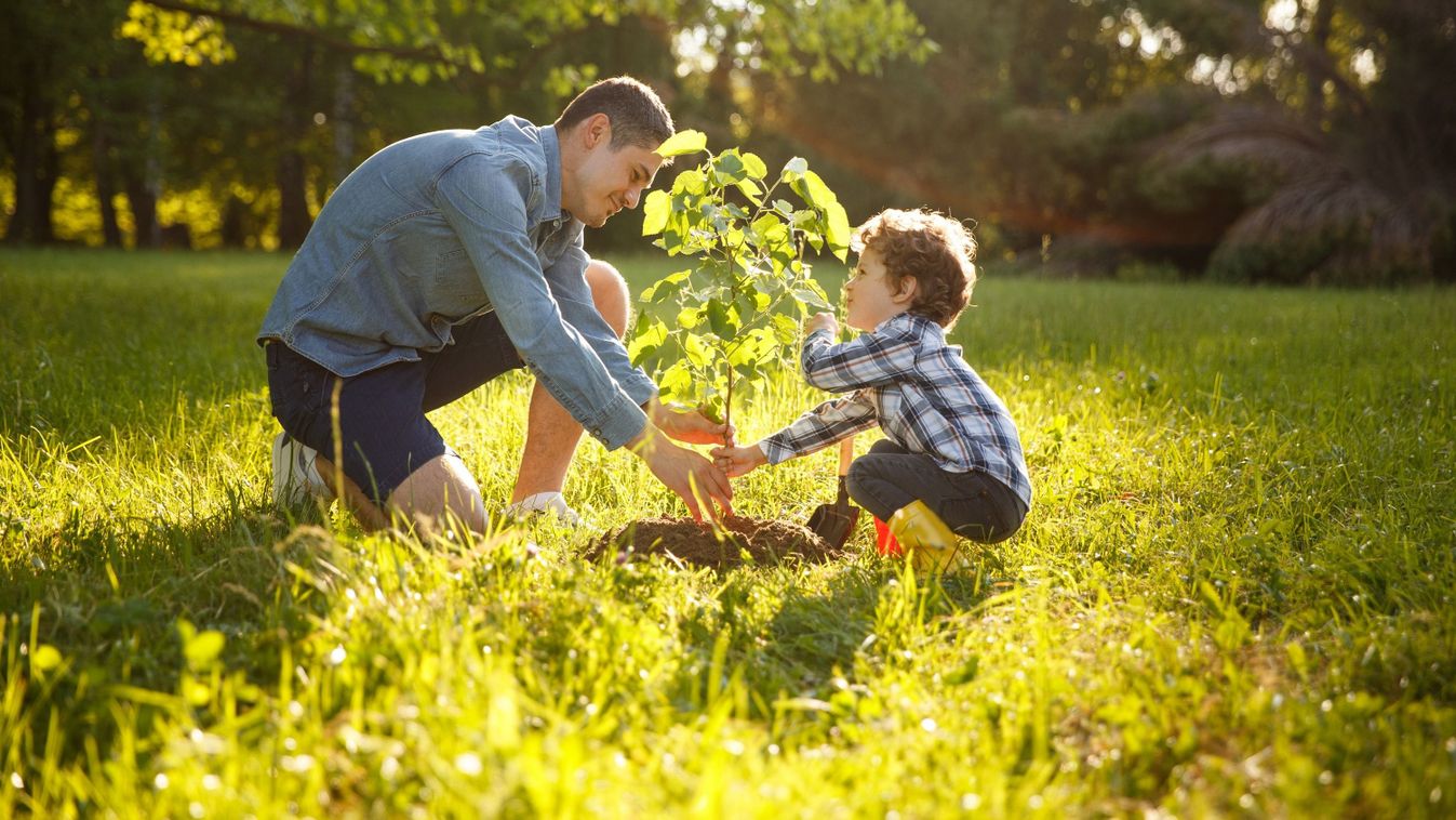 Father,Wearing,Gray,Shirt,And,Shorts,And,Son,In,Checkered