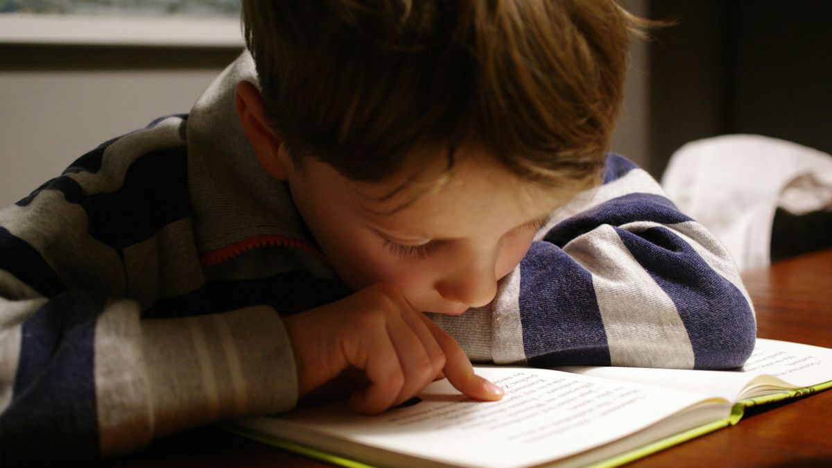 LMBT-aktivisták a magyar gyerekvédelmi törvény felülírására biztatják az EU bíróságát